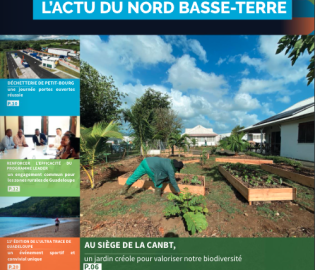 Journal de la CANBT N°7